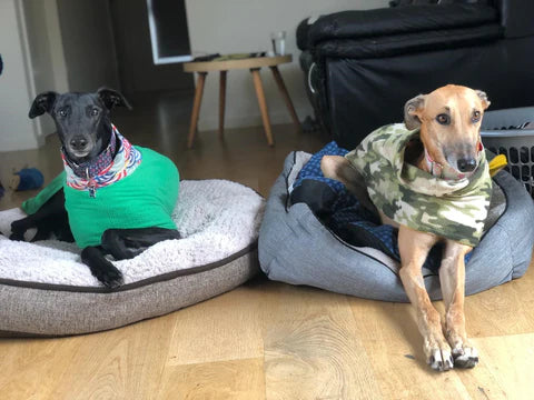 3 Things I Wish I Knew Before Fostering