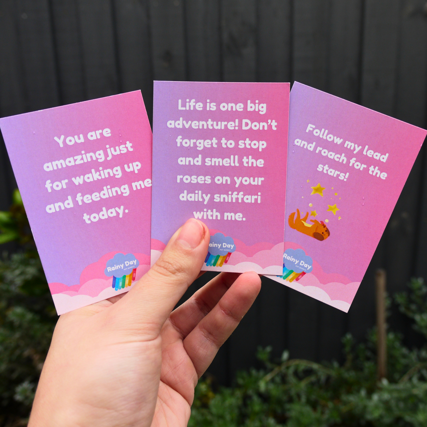 Affirmation card deck: What would your dog say?