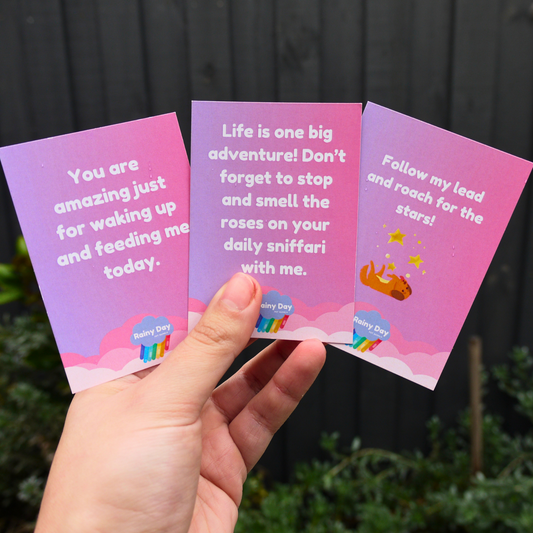 Affirmation Card Deck: What Would Your Dog Say?