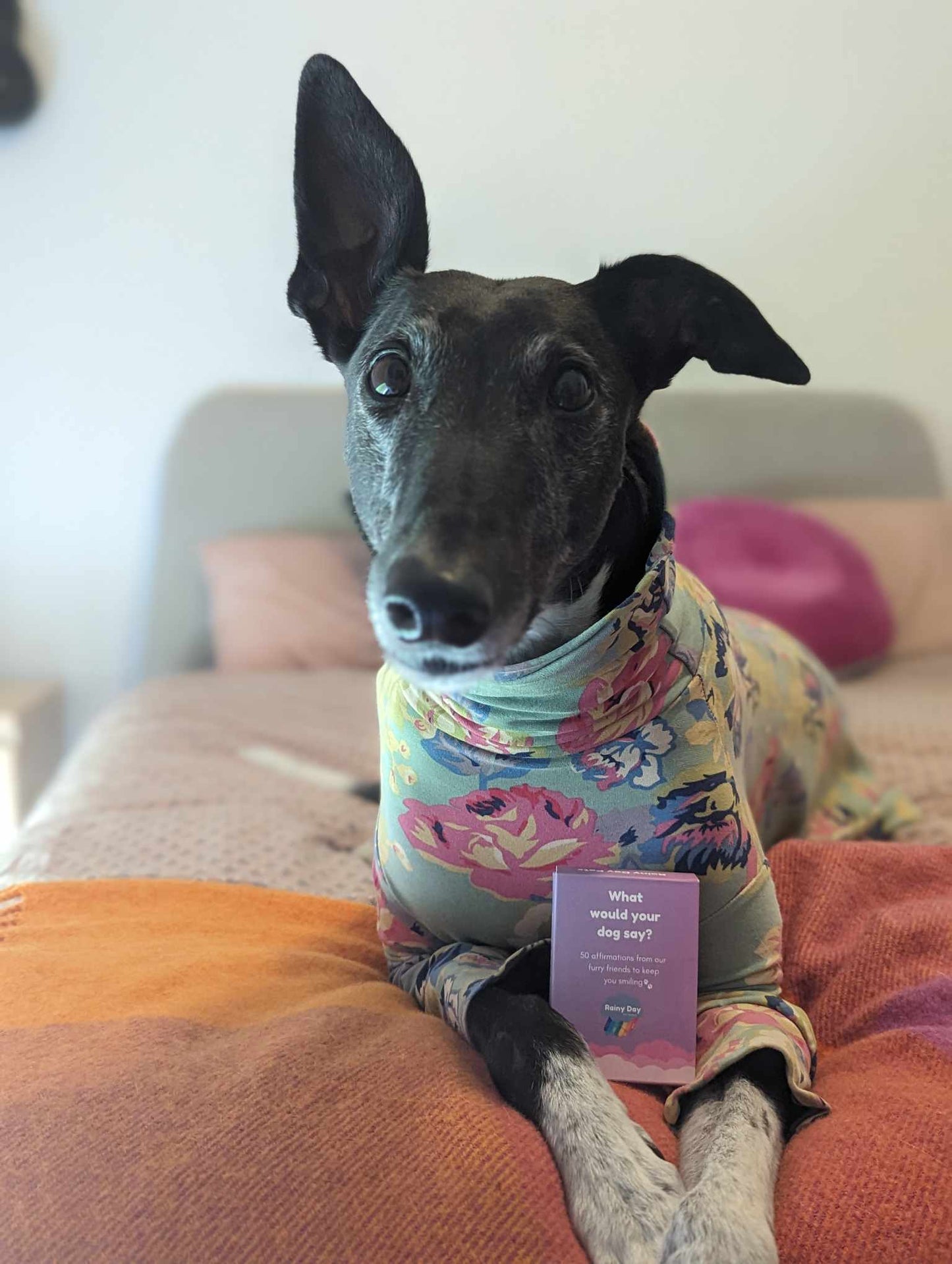 Affirmation Card Deck: What Would Your Dog Say?