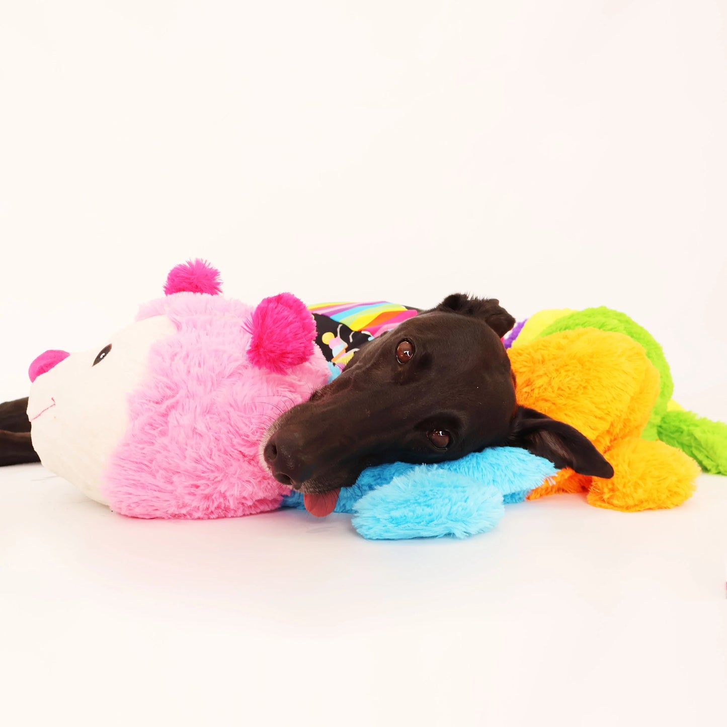 Rainbow Cuddlepillar