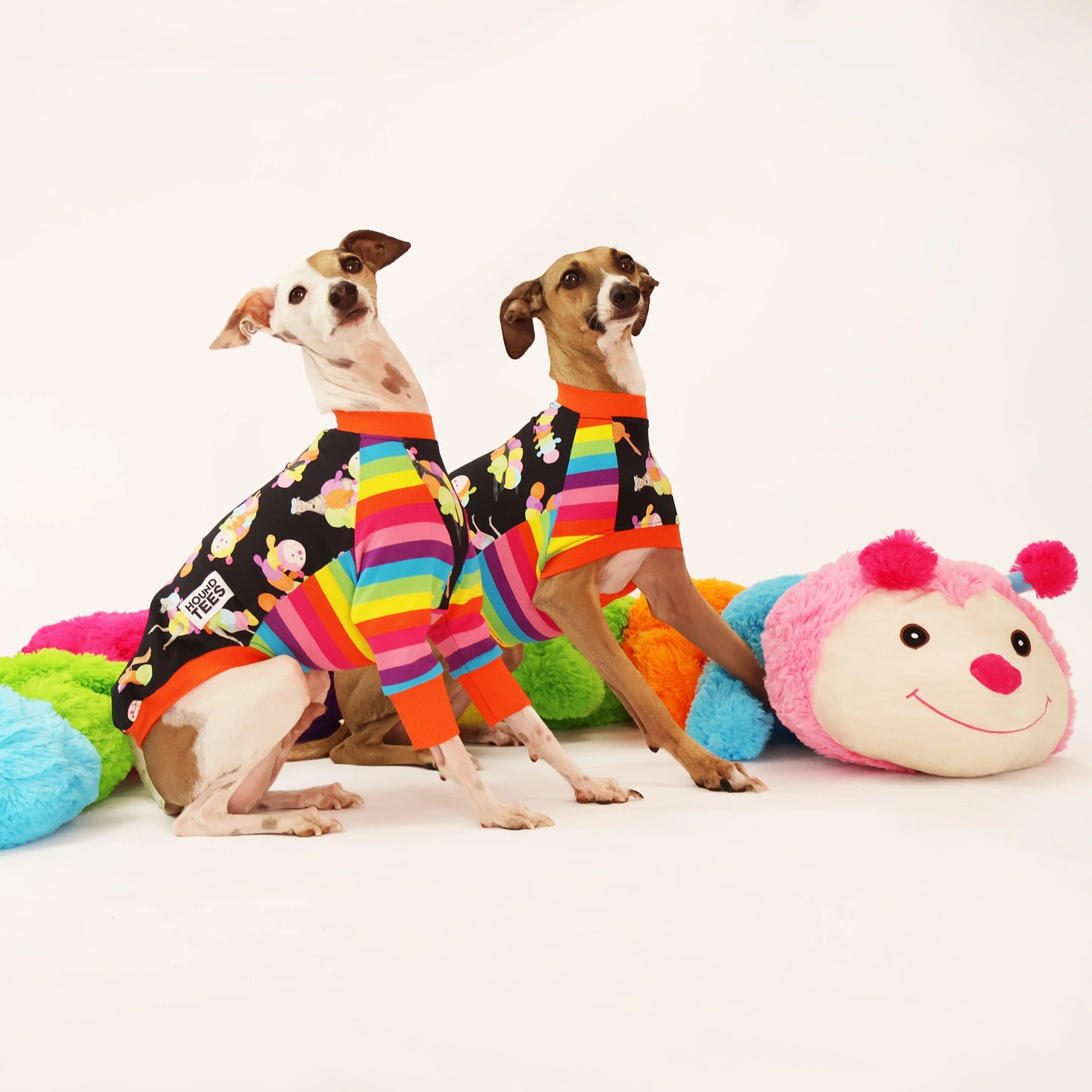 Rainbow Cuddlepillar