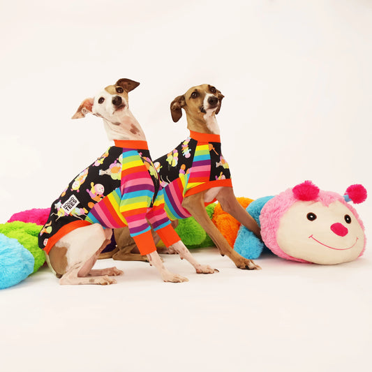 Rainbow Cuddlepillar