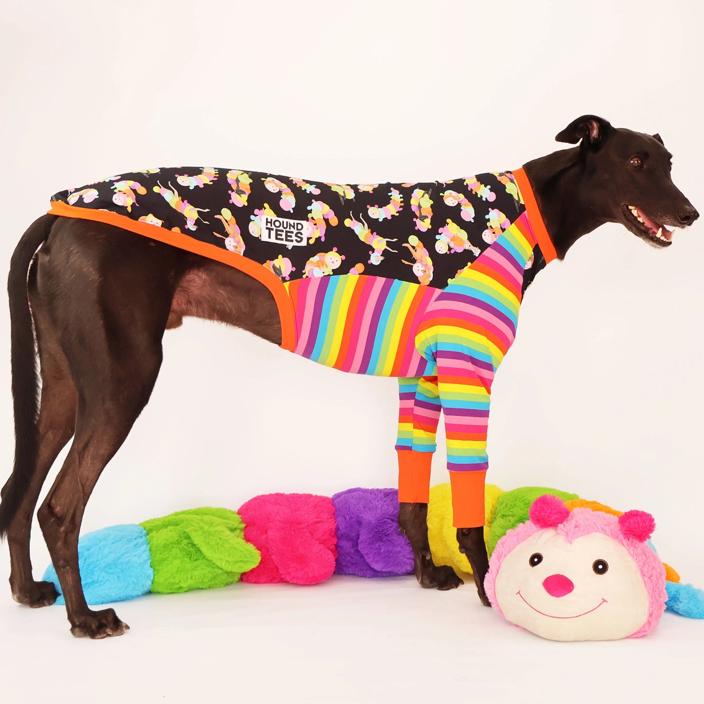 Rainbow Cuddlepillar