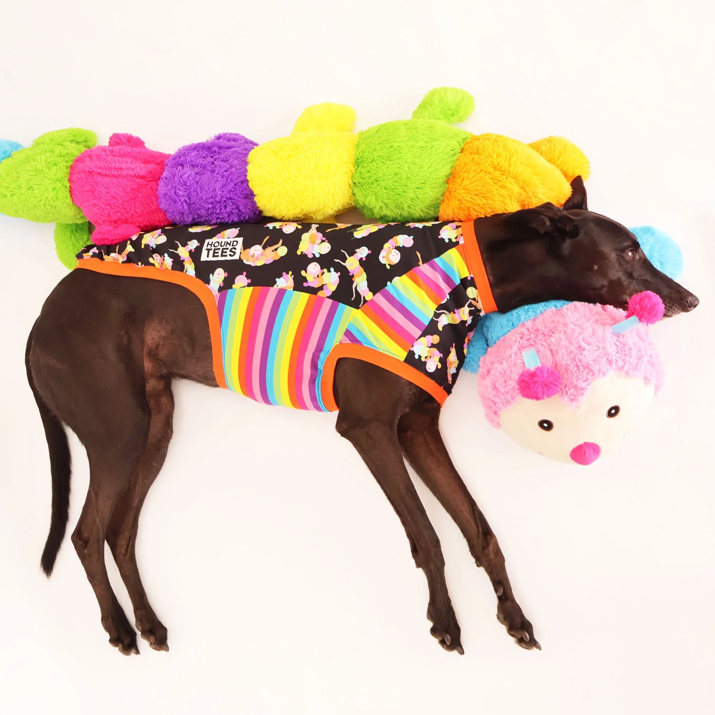 Rainbow Cuddlepillar