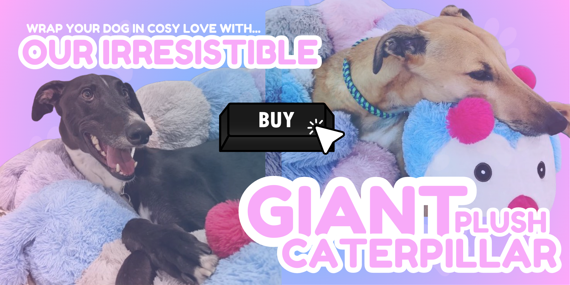 Leone 2024 pet supply