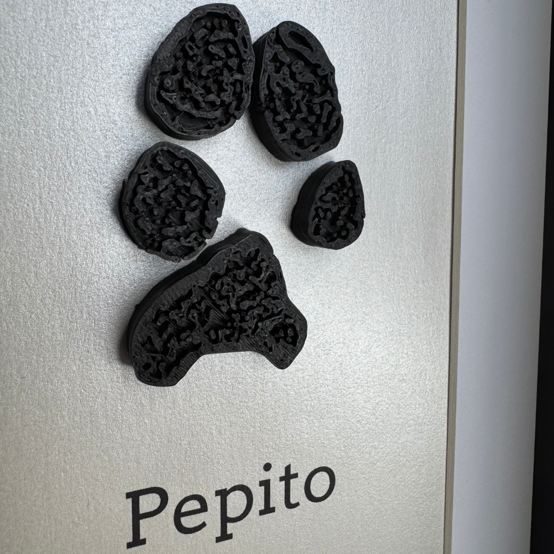 Custom Paw Print Frame